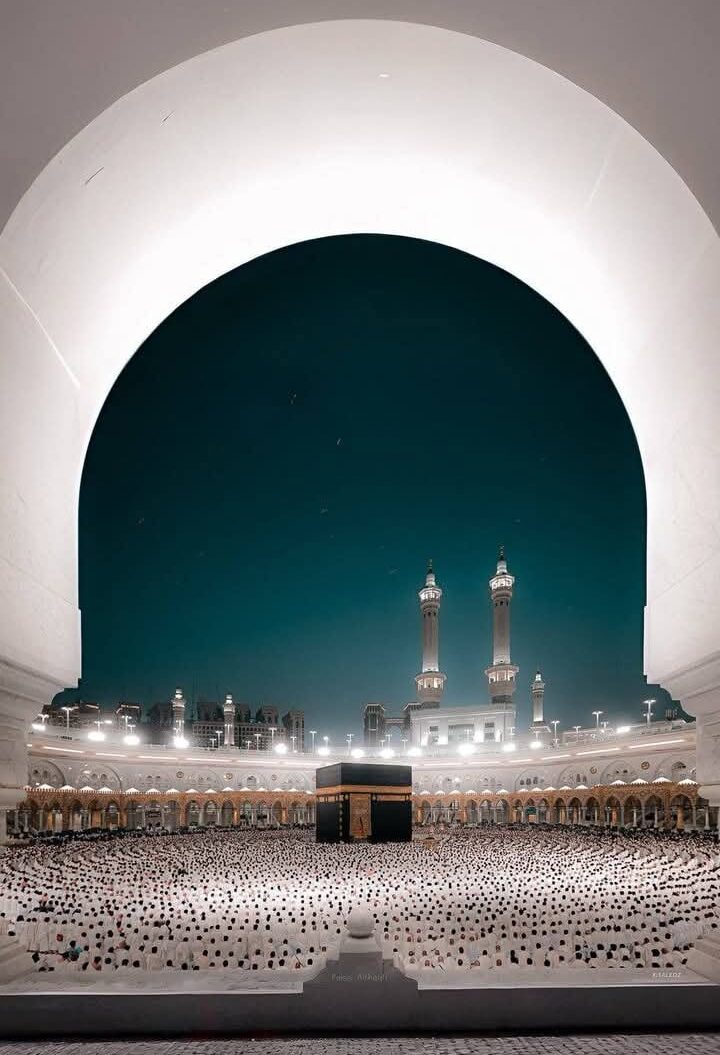 برنامج ٤ نجوم