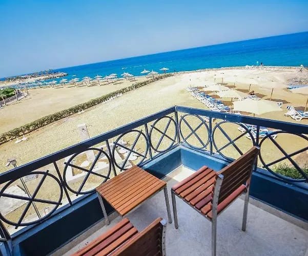 بلومار الدوم العين السخنه