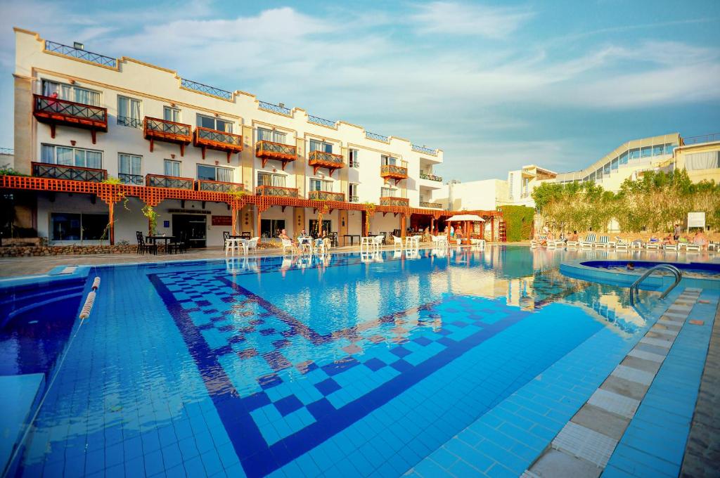 Falcon Naama Star-sharm