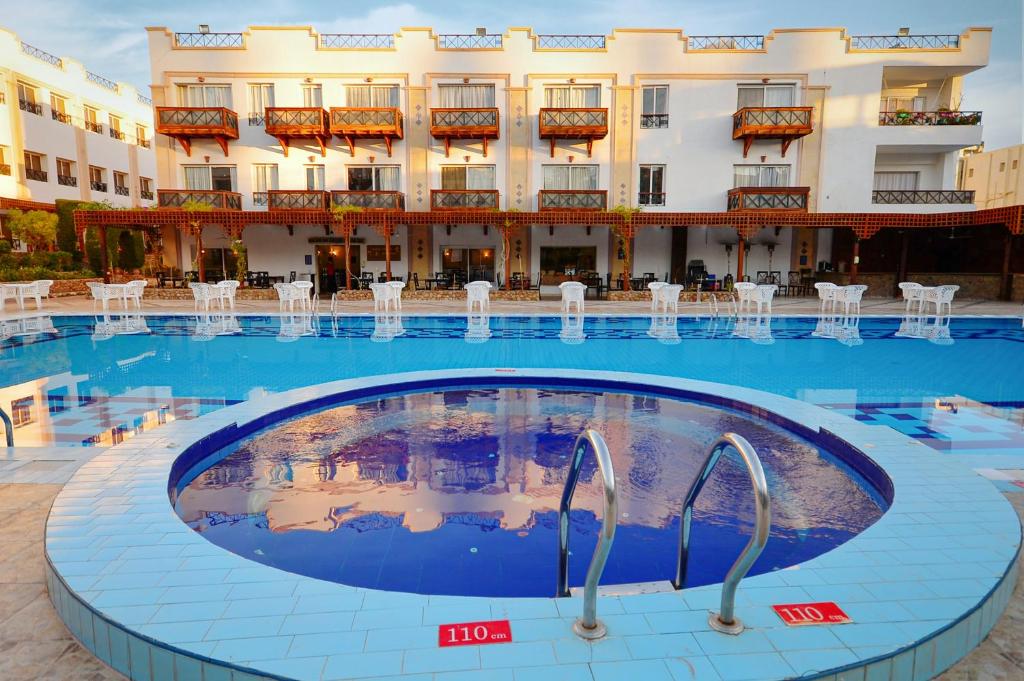 Falcon Naama Star-sharm