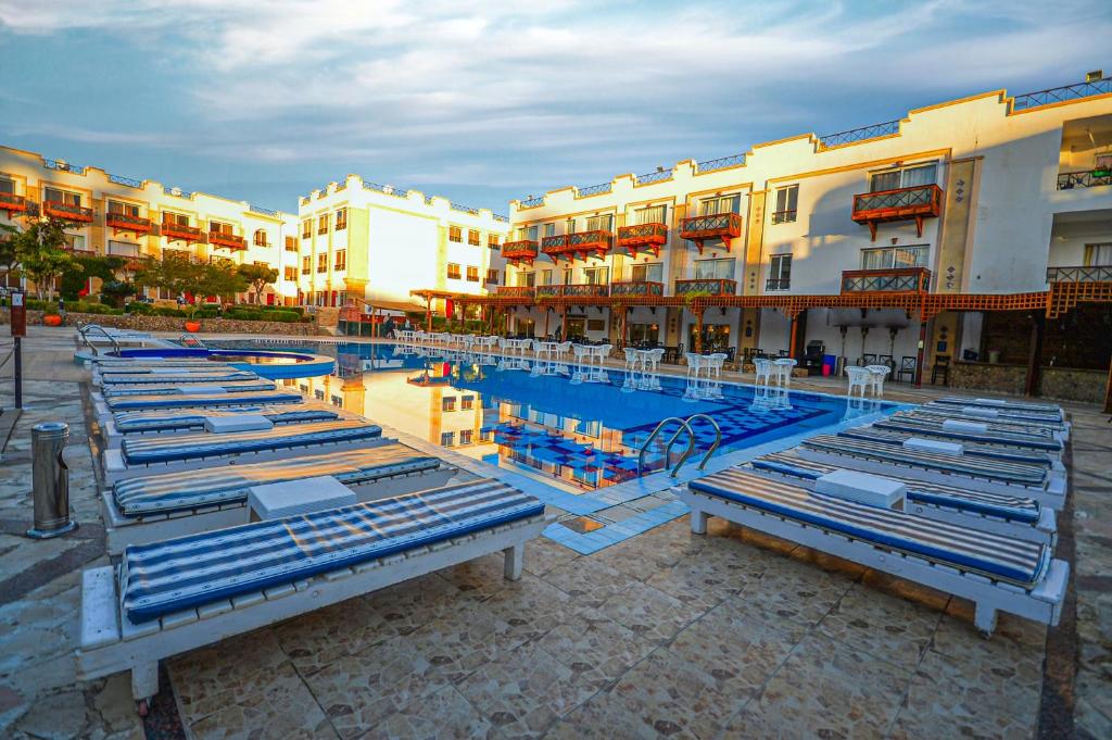 Falcon Naama Star-sharm