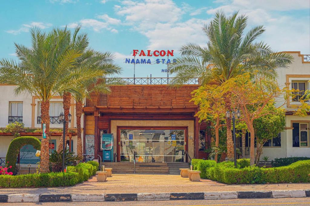 Falcon Naama Star-sharm
